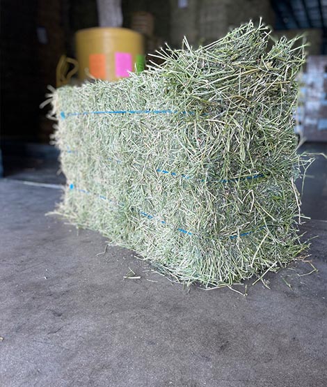 Alfalfa-hay,Southeast-Family-Farm